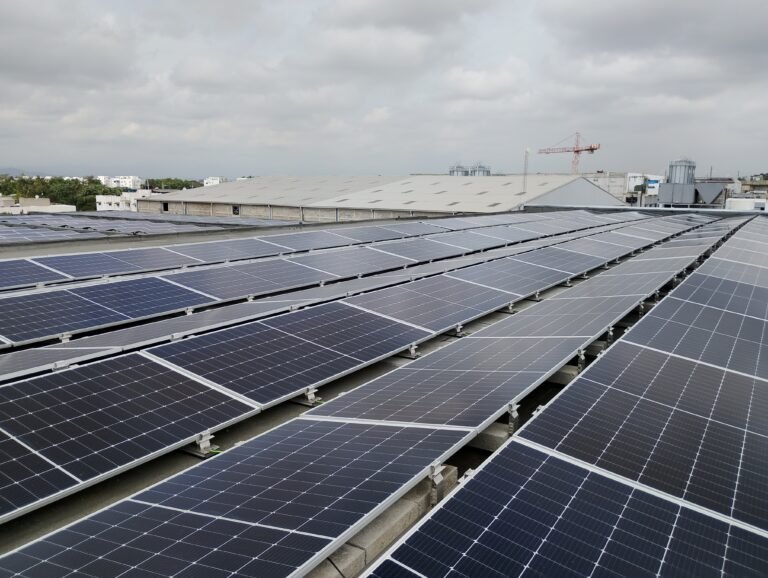 Caso real: cuánto ahorra una empresa con energía solar